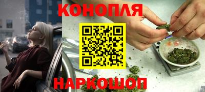 крисы Будённовск