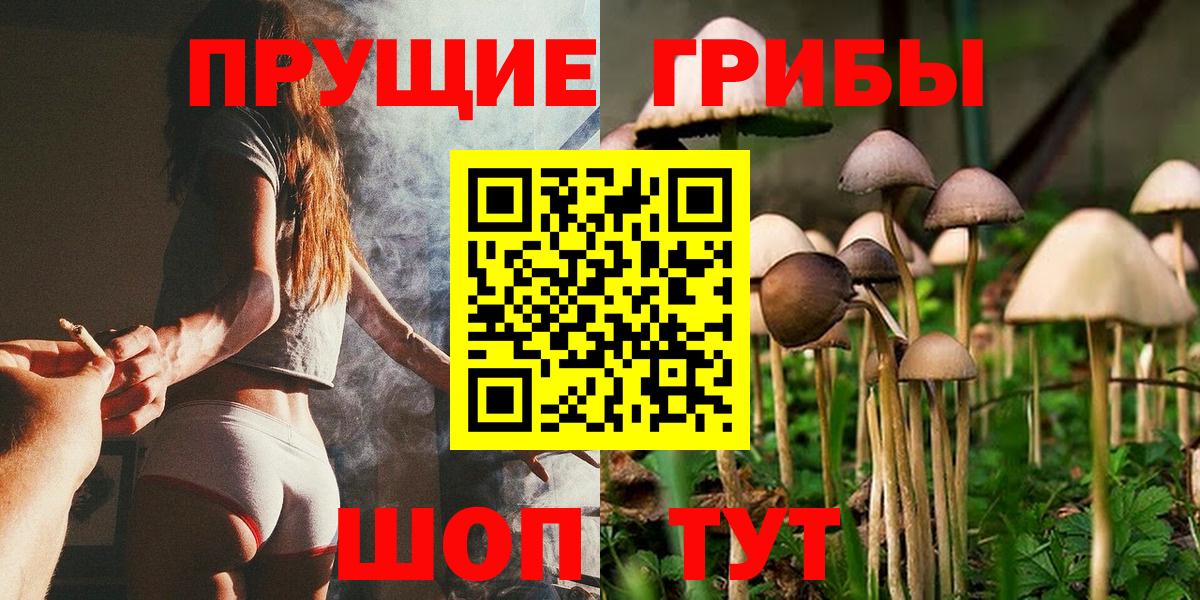 Псилоцибиновые грибы ЛСД Сибай